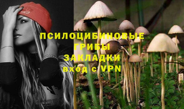 дурь Магас