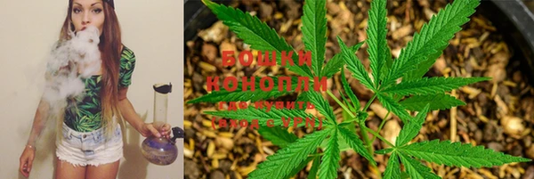дурь Магас