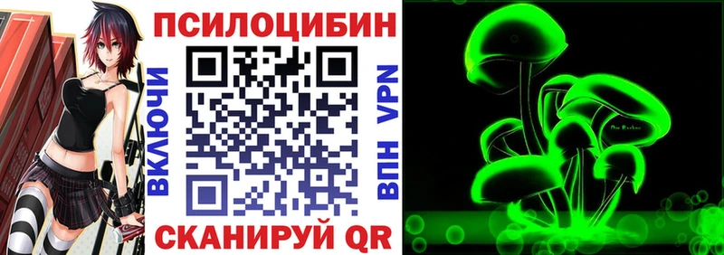 Купить  Николаевск-на-Амуре  Псилоцибиновые грибы Psilocybe 
